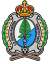 Escudo del Divina Pastora